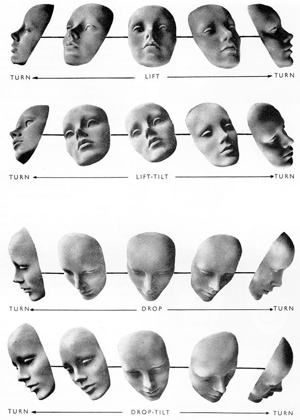 several different types of human heads are shown in black and white