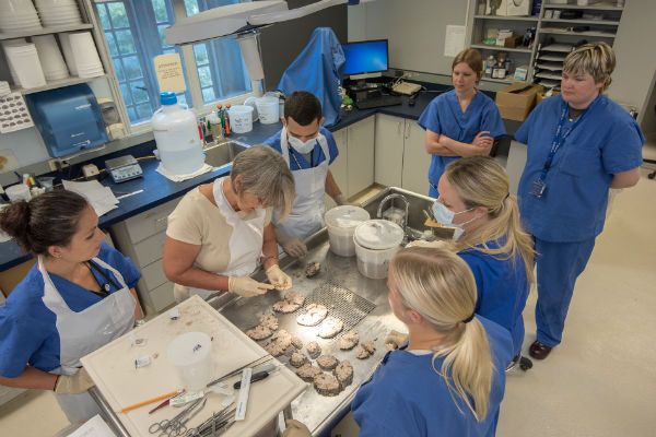 five women in blue uniforms are preparing cupcakes on a counter top with utensils