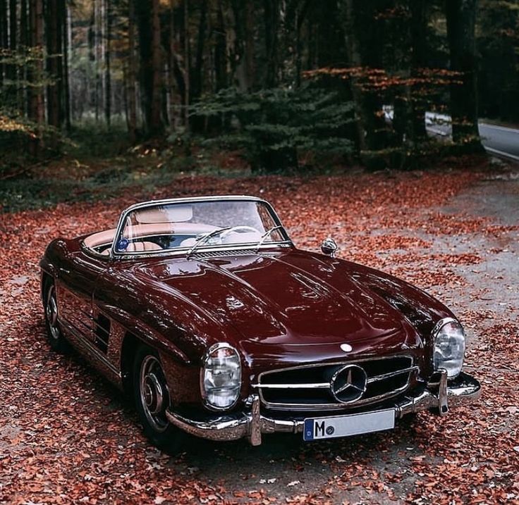 an old mercedes sits in the middle of leaves on the ground and trees behind it