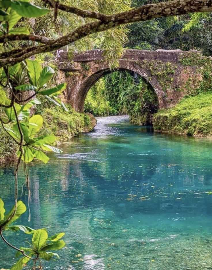 a bridge over a river surrounded by lush green trees and bushes, with blue water running under it