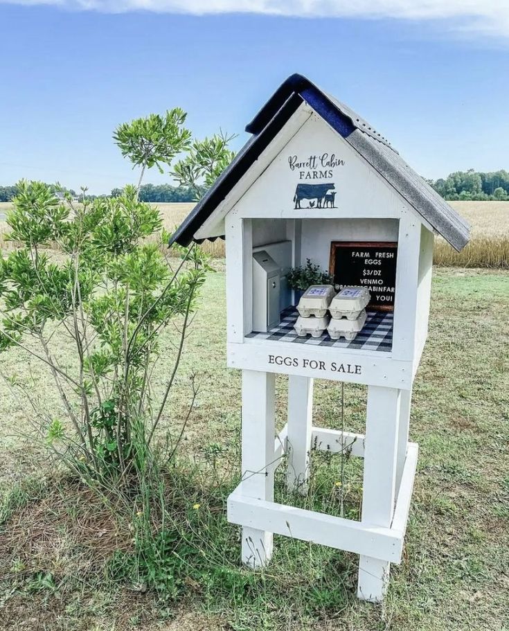 an egg for sale sign in the middle of a field