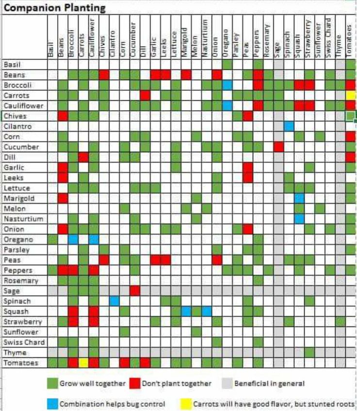 a chart with many different types of plants