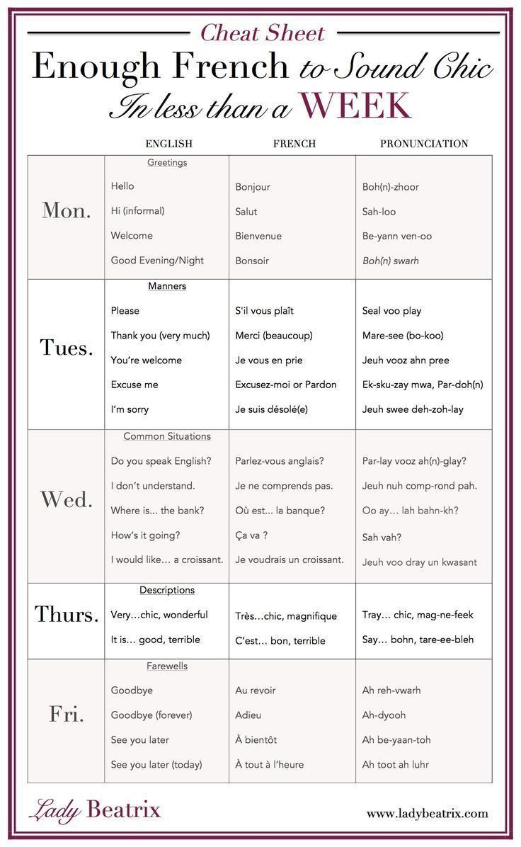 the english and french verbs worksheet