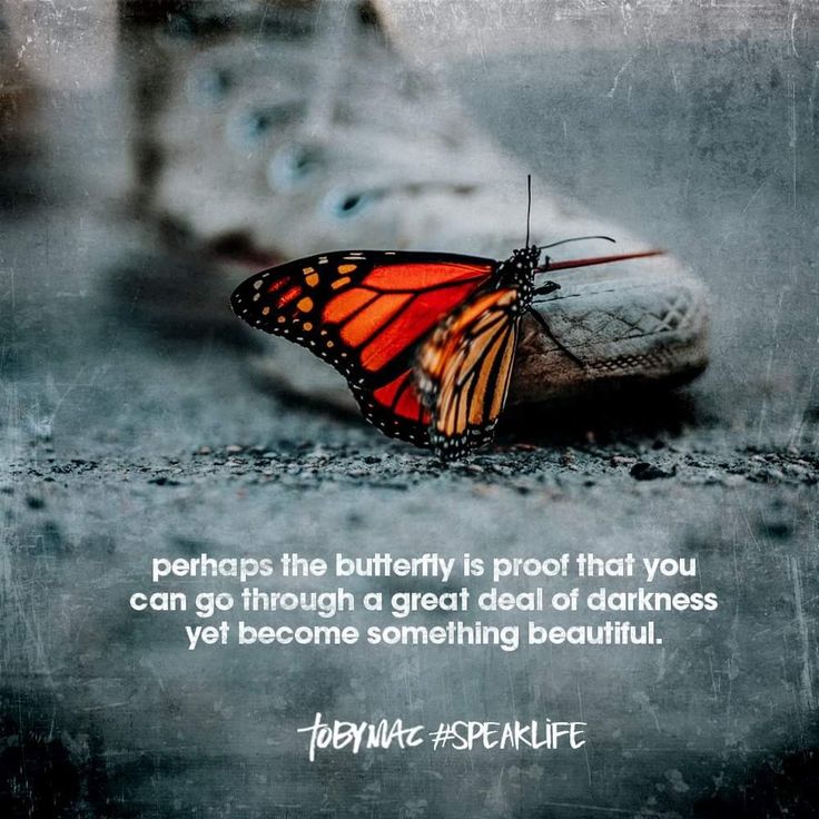 a butterfly sitting on top of a pair of shoes with a quote above it that says, perhaps the butterfly is proof that you can go through great dad