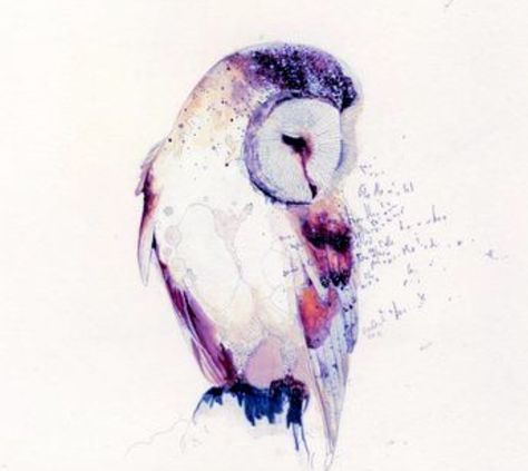 an owl sitting on top of a white surface