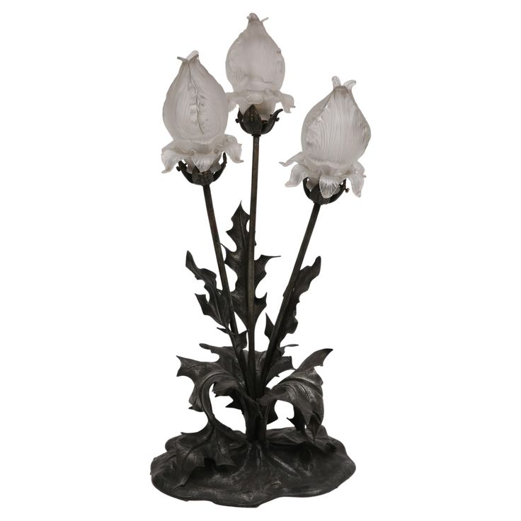 three white flowers in a black vase on a white background