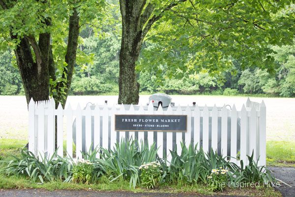 a white picket fence sitting in front of a lush green park filled with lots of trees