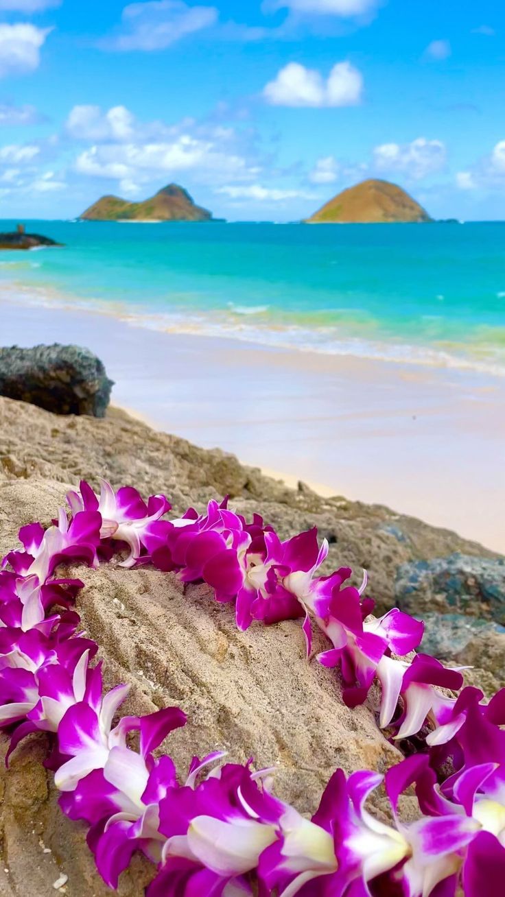 purple and white flowers are arranged on the beach