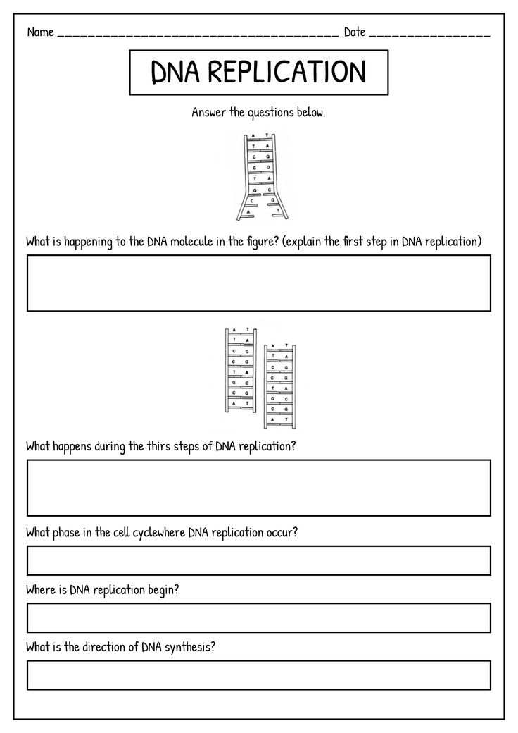 a worksheet with instructions to help students learn how to use the data