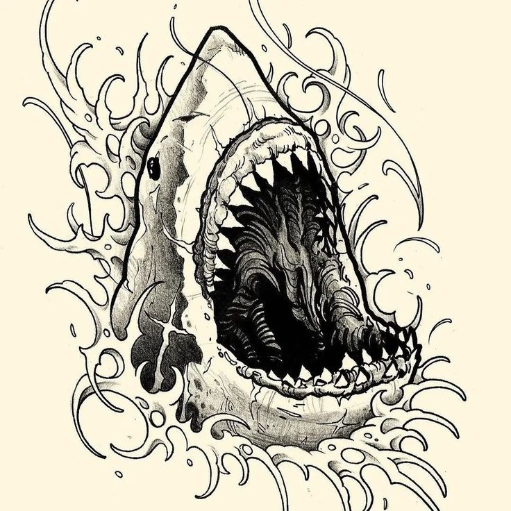 an ink drawing of a shark with its mouth open and teeth out in the water