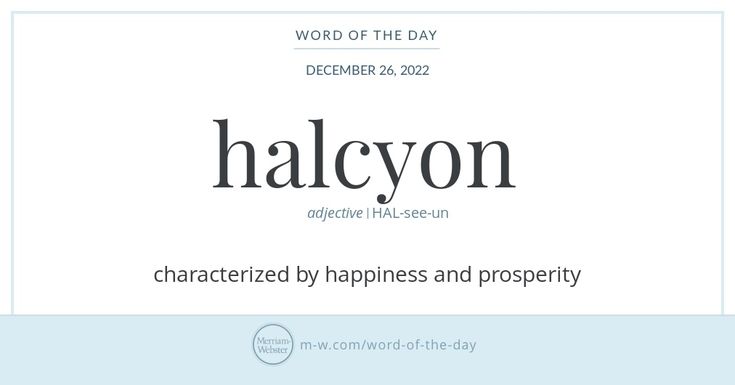 the word halcyon is written in black and white on a light blue background