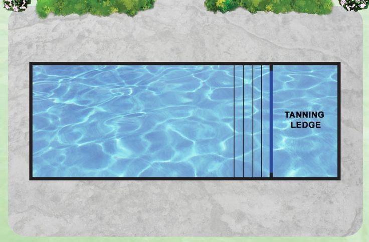 an above ground swimming pool surrounded by grass and trees with the words tanning ledge below it