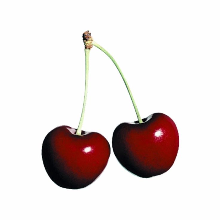 two cherries are shown on a white background