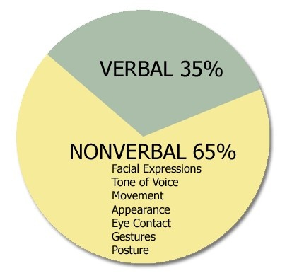 a pie chart showing the percentage of nonverbal 65 %