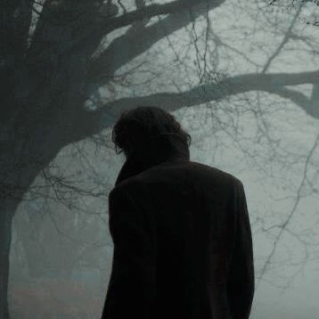 a man standing in front of a tree on a foggy day with his back to the camera