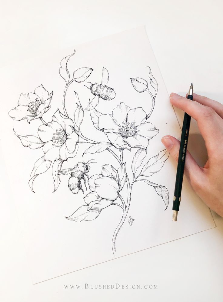 a person is drawing flowers with a pencil