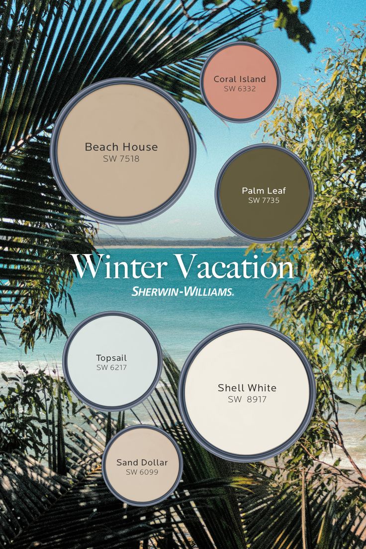 the color scheme for winter vacation