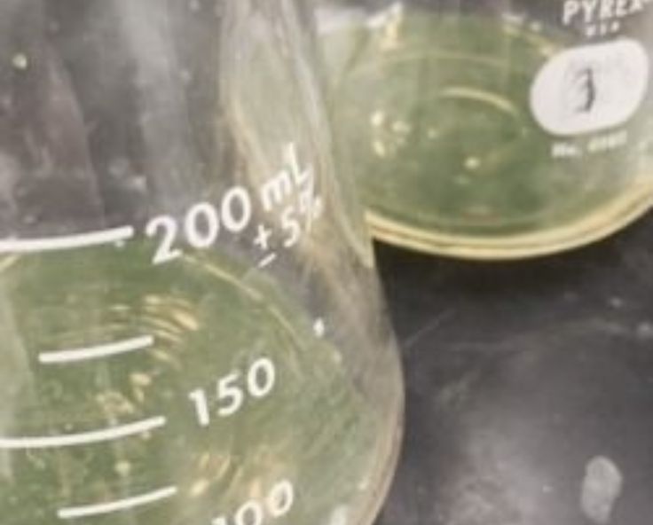 two measuring cups filled with liquid on top of a table