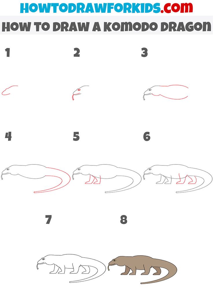 how to draw a komodo dragon step by step instructions for kids and beginners