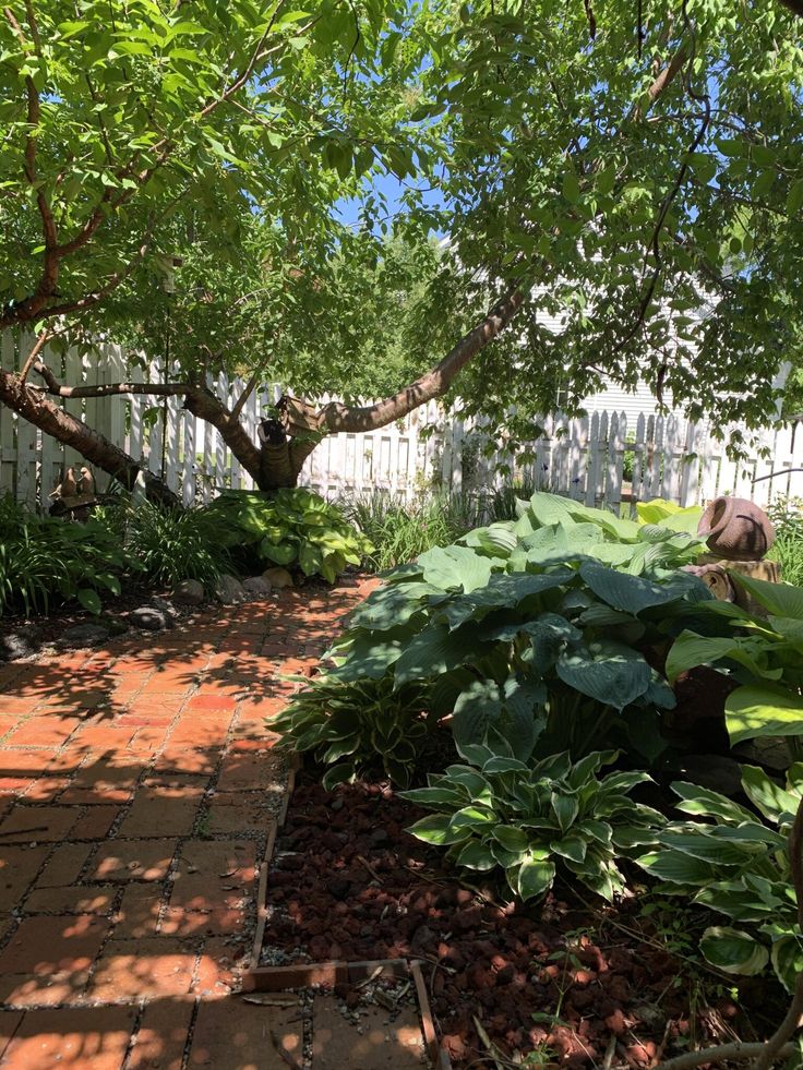 Beautifully hand-stained cement tiles poured and created by a DIY enthusiast Painted Cement Patio, Outdoor Concrete Floors, Tinted Concrete, Outdoor Concrete Stain, Cement Stain, Concrete Stain Patio, Patio Driveway, Concrete Stain, Concrete Resurfacing