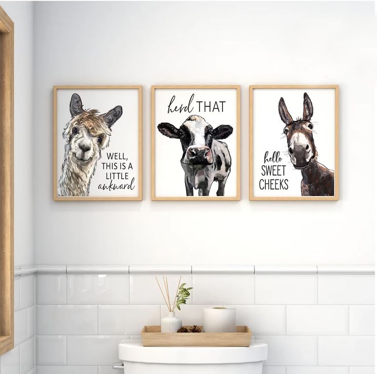 three framed pictures on the wall above a toilet