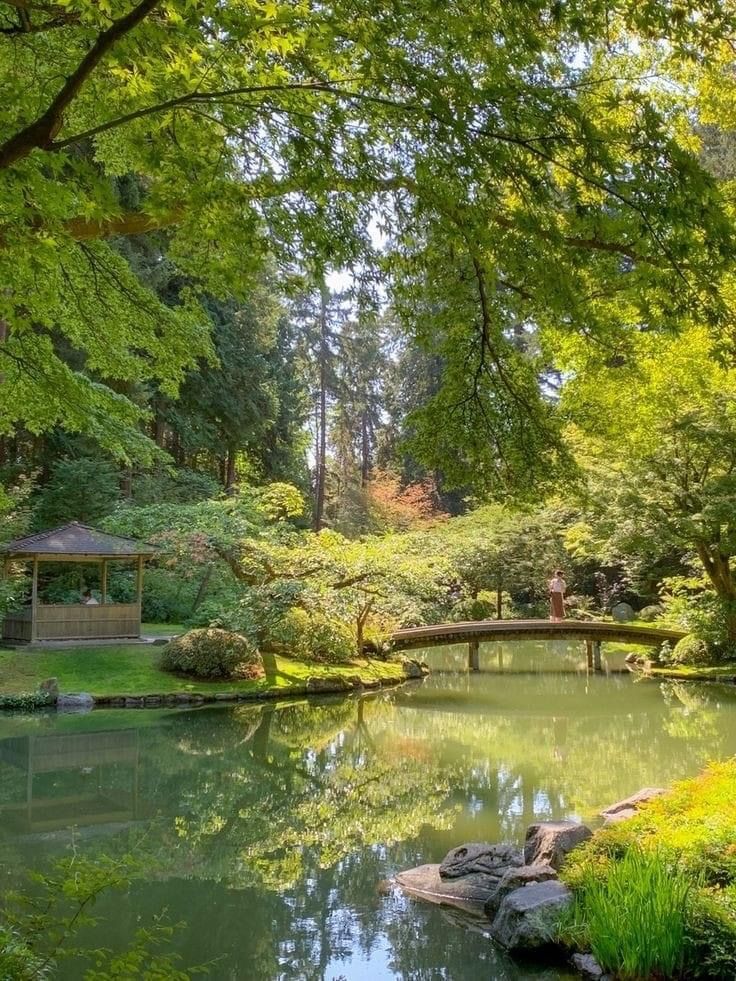 a small pond in the middle of a park surrounded by trees and grass with a bridge over it