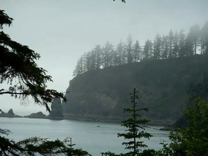 the trees are next to the water on a foggy day