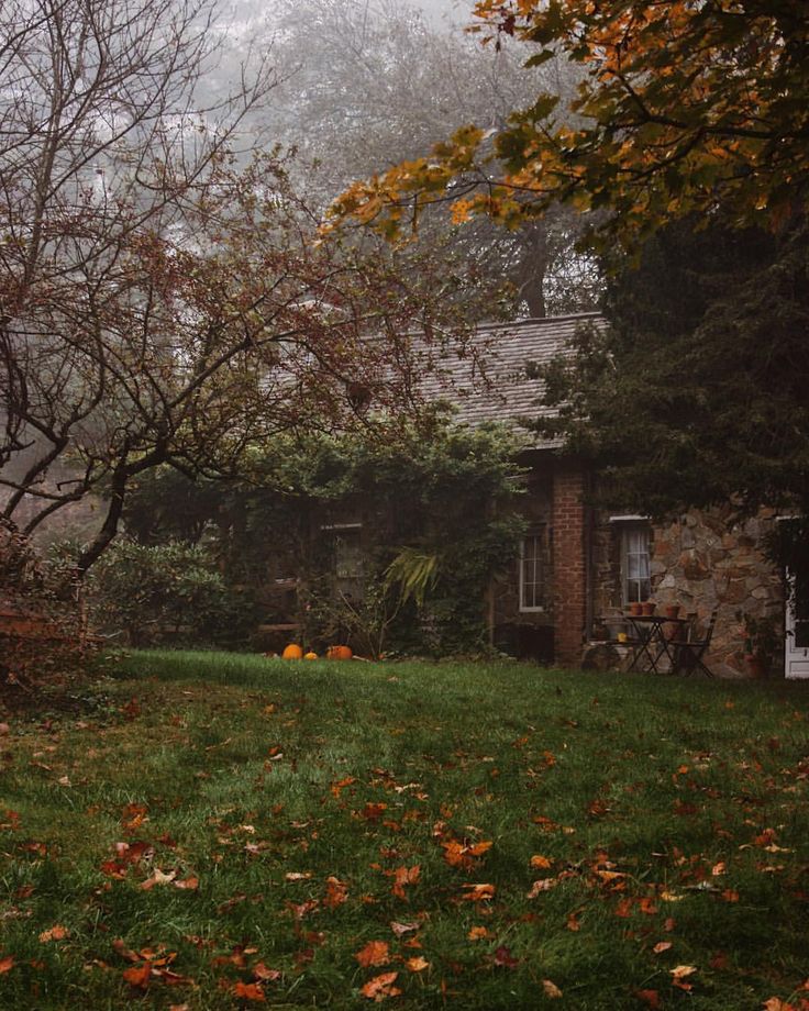 the house is surrounded by trees and leaves in the yard on a foggy day