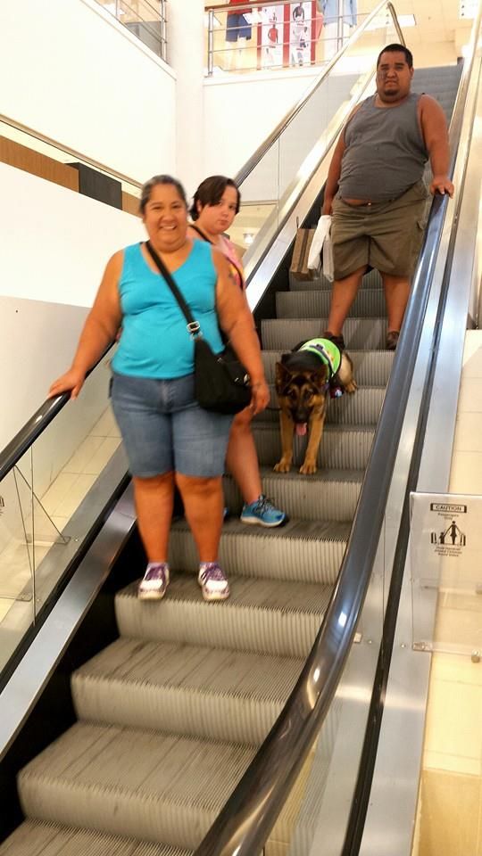 two people and a dog on an escalator