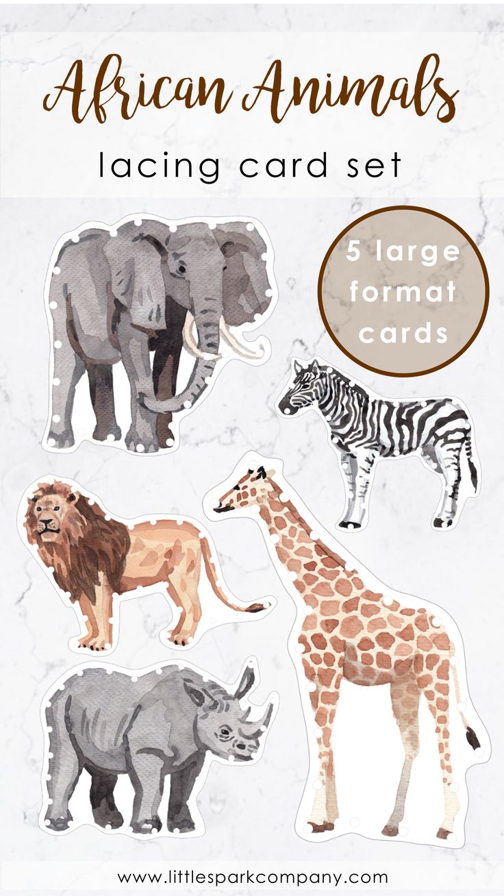 the african animals sticker set includes four different kinds of animals, including zebras and giraffes