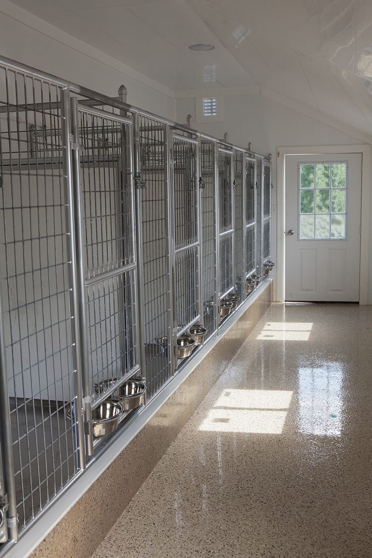 an empty hallway with several cages on the wall and doors to another room in the background