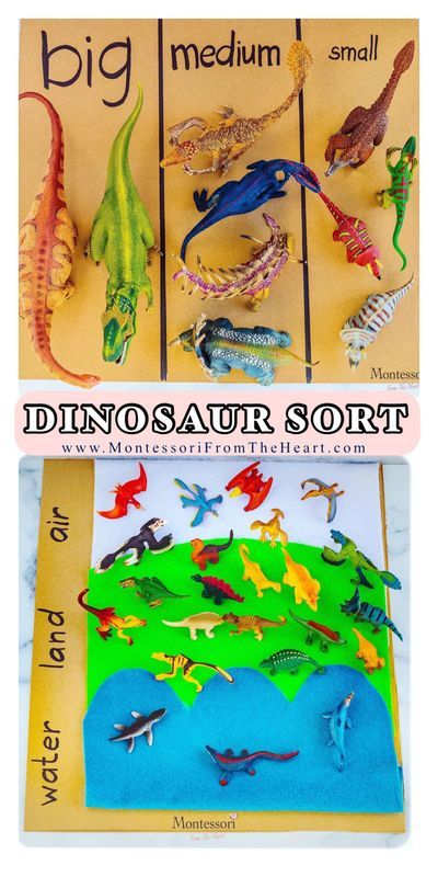 dinosaurs and other animals are shown on the cover of a book with words that read dino's aur sort