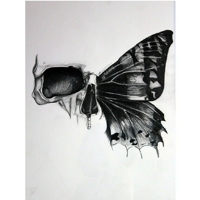 a black and white drawing of a butterfly resting on a human's head with its wings open