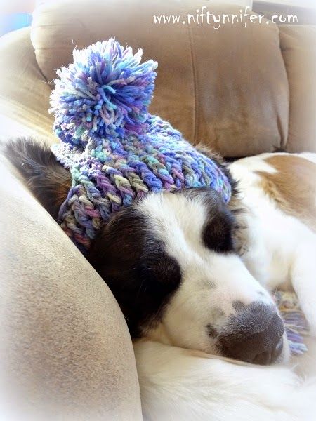 a dog is sleeping on the couch wearing a knitted hat with pom - poms