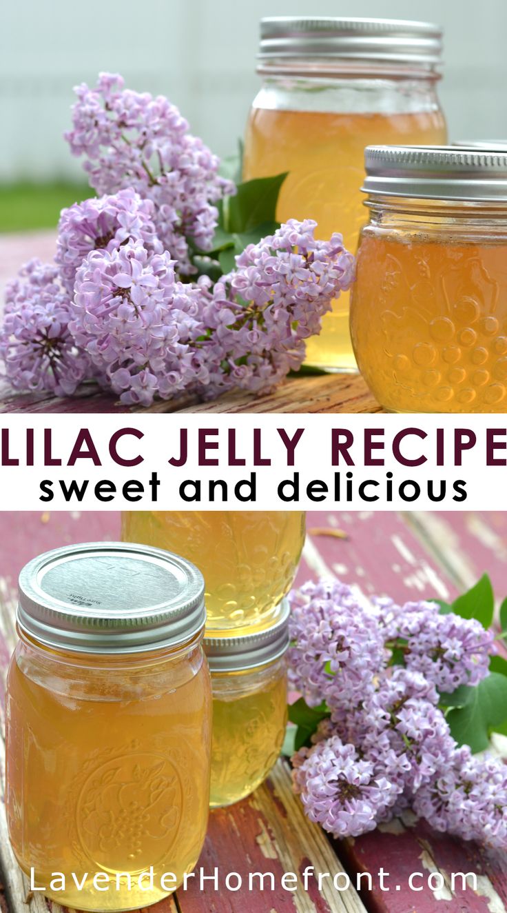 Homemade and easy lilac jelly recipe with canning instructions.