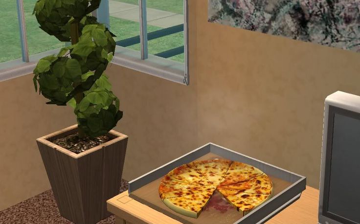 a pizza sitting on top of a box next to a potted plant and microwave