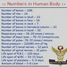 a sign describing the number of bones in human body