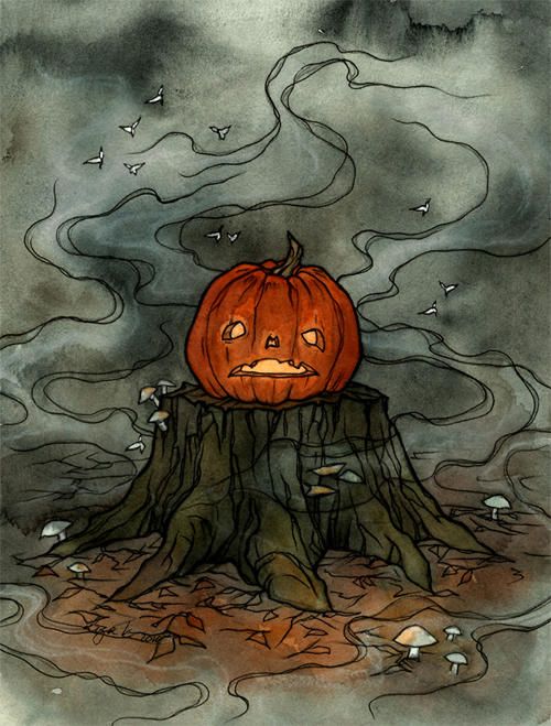 an orange pumpkin sitting on top of a tree stump