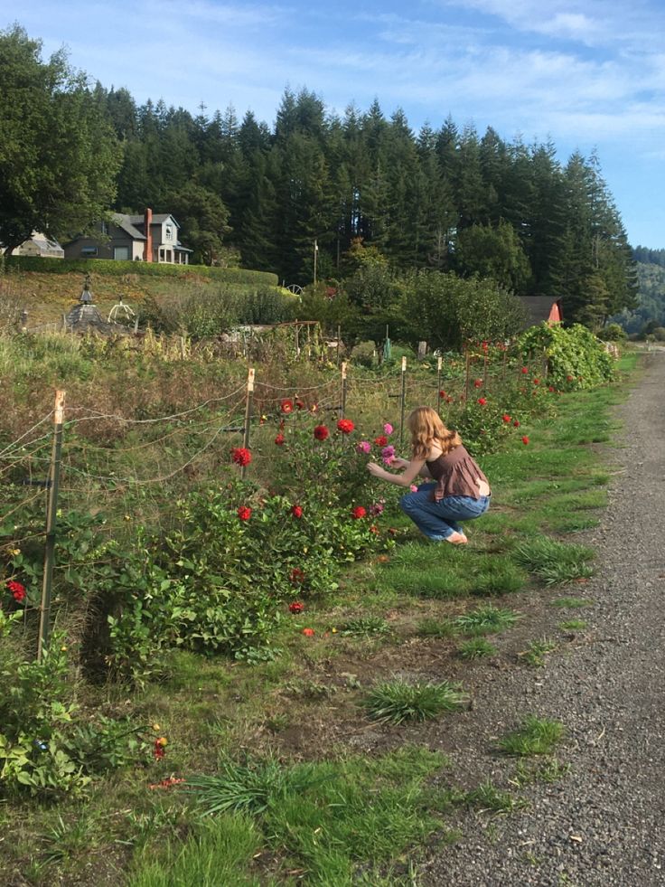 a woman kneeling down on the side of a dirt road next to a lush green field