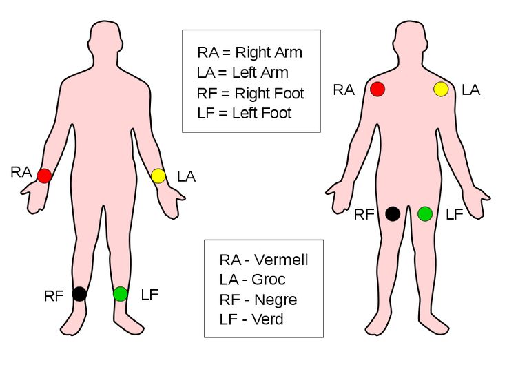 an image of the human body with different colored dots