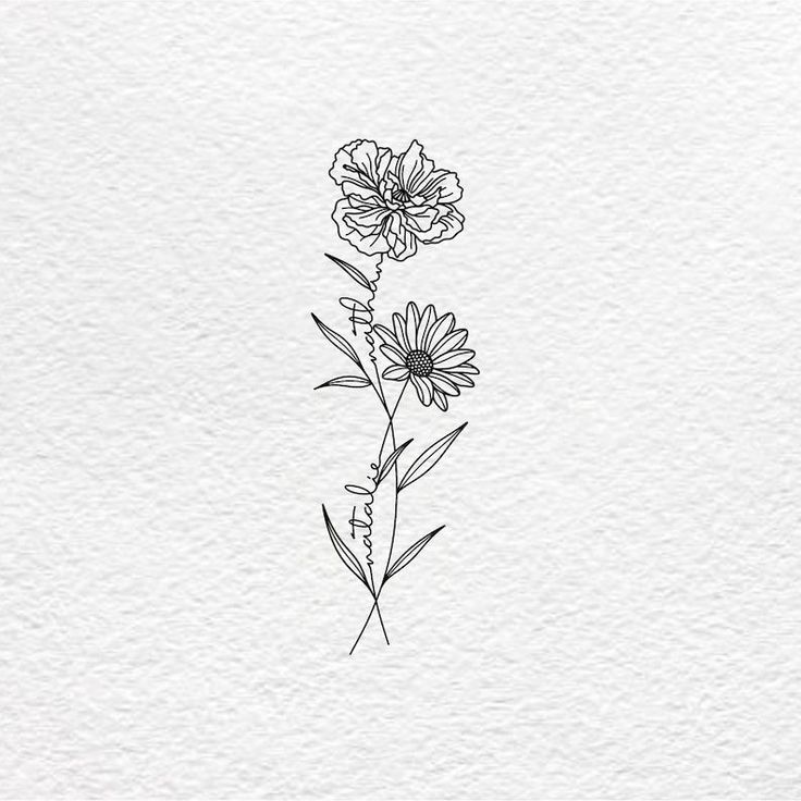 some flowers that are drawn on paper