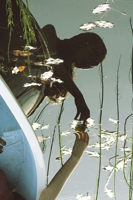 the reflection of a person standing on a boat in water with lily pads and reeds