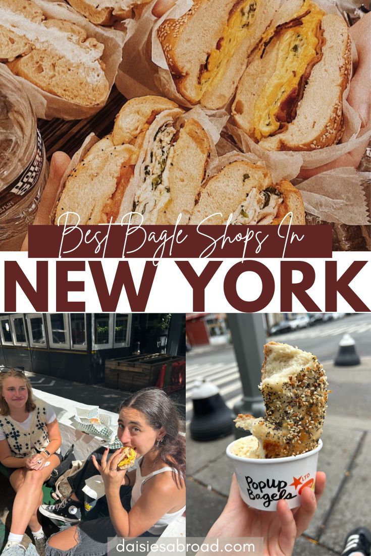 BEST BAGEL SHOPS IN NYC Best Bagels In Nyc, Nyc Bagels, Shops In New York, Cape Cod Travel, Day Trip To Nyc, Boston Travel Guide, Best Bagels, Boston Travel, Bagel Shop