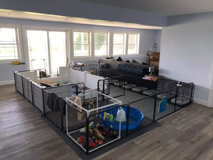 a living room filled with lots of furniture next to a large open floor plan on top of a hard wood floor