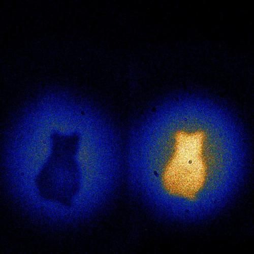 an image of a cat in the middle of some dark blue space with light coming from it