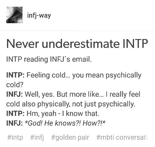 INTP and INFJ. The golden pair Infj Pairing, Golden Pair Mbti, Intp Love Relationships, Intp Infj Golden Pair, Mbti Golden Pair, Infj Intp Love, Infj And Intp Relationship, Infj X Intp Relationships, Infj Intp Relationship