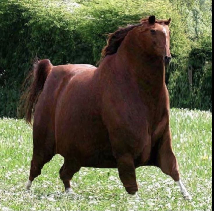 a large brown horse standing on top of a lush green field