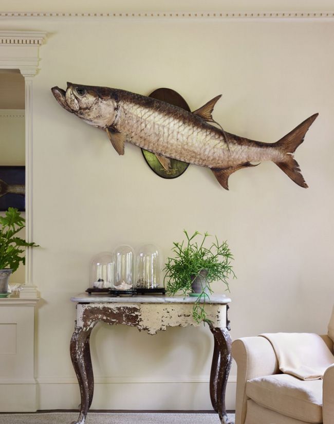 a fish mounted on the wall above a table