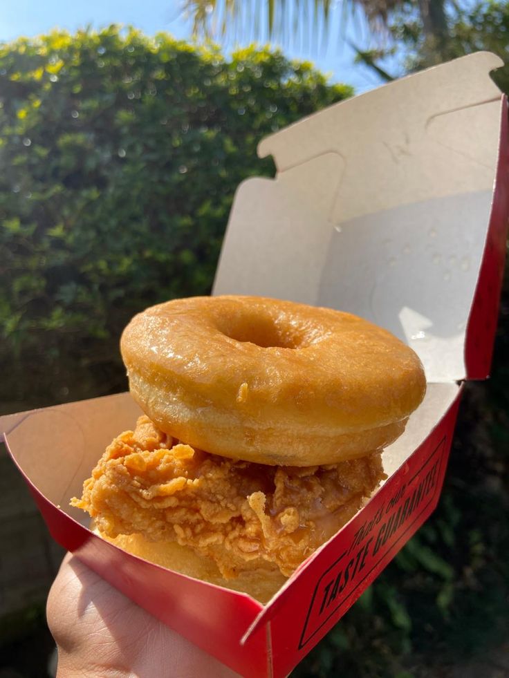 a person holding up a box with two donuts in it