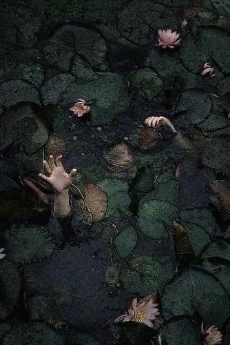 a body of water surrounded by lily pads and leaves with one hand in the air